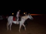  SC-Xmas 49